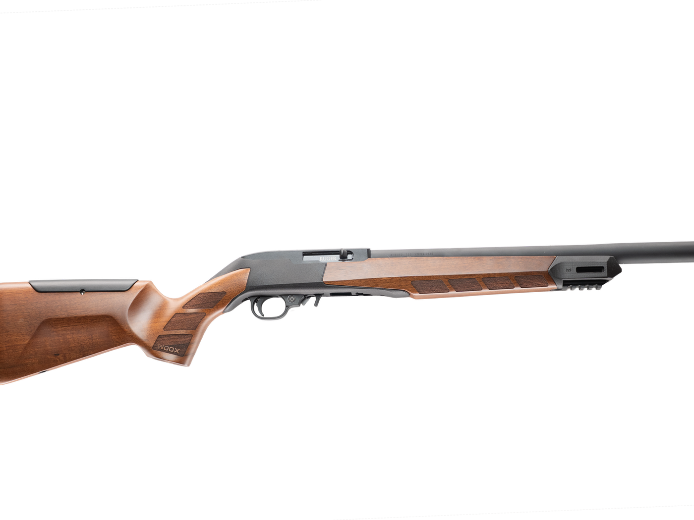 Ruger 10/22 .22 LR