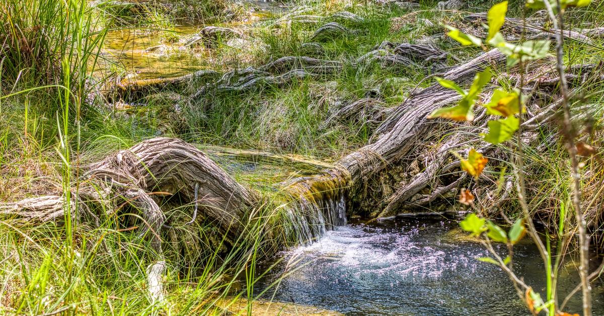 Willow Springs Ranch for sale in Vanderpool, Texas Bownds Ranches Find Your Texas Ranch Today