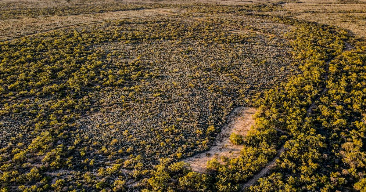 Hunting Ranch for Sale in Brackettville, Texas Kinney County Bownds