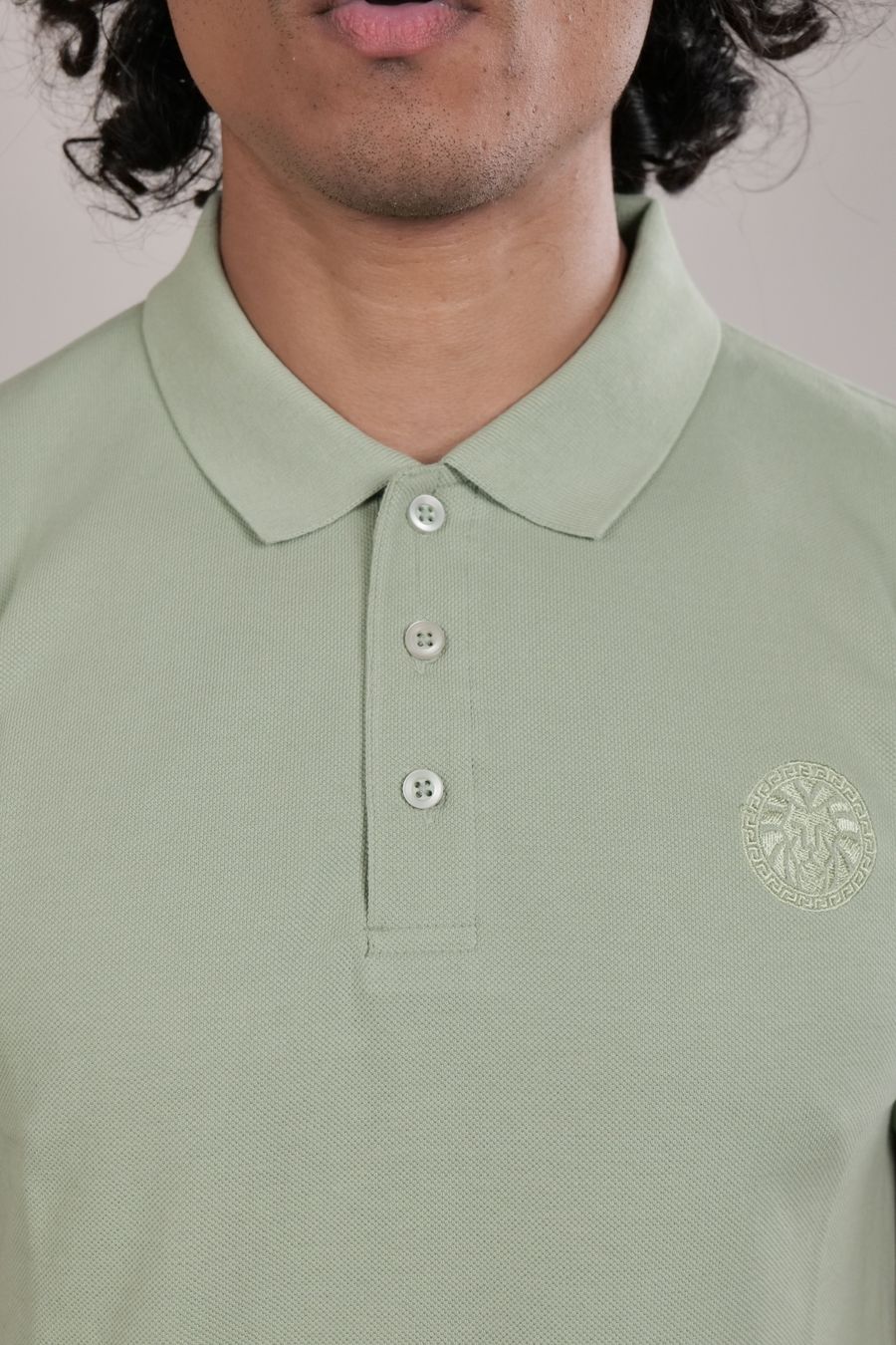 Lion Crest Polo — Sage Green, photo 4