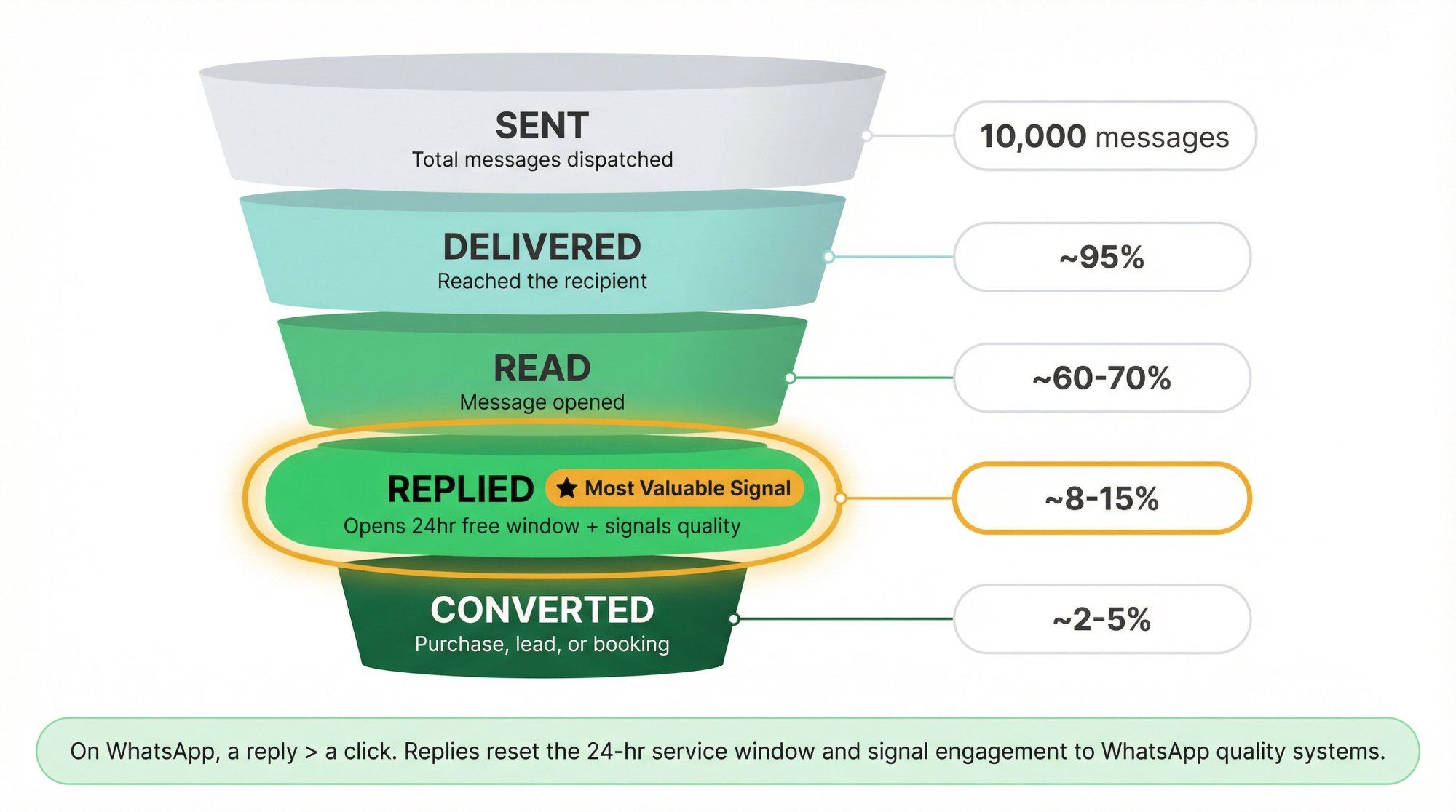 WhatsApp newsletter analytics funnel showing Sent, Delivered, Read, Replied, and Converted stages with reply highlighted as most valuable metric