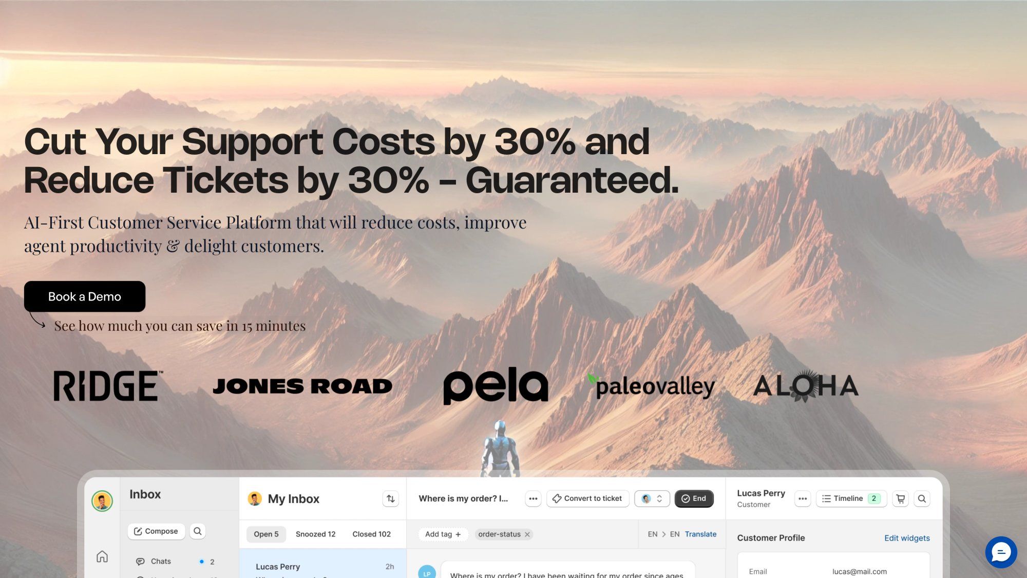 Richpanel customer support platform homepage showcasing AI-powered helpdesk and self-service portal for e-commerce