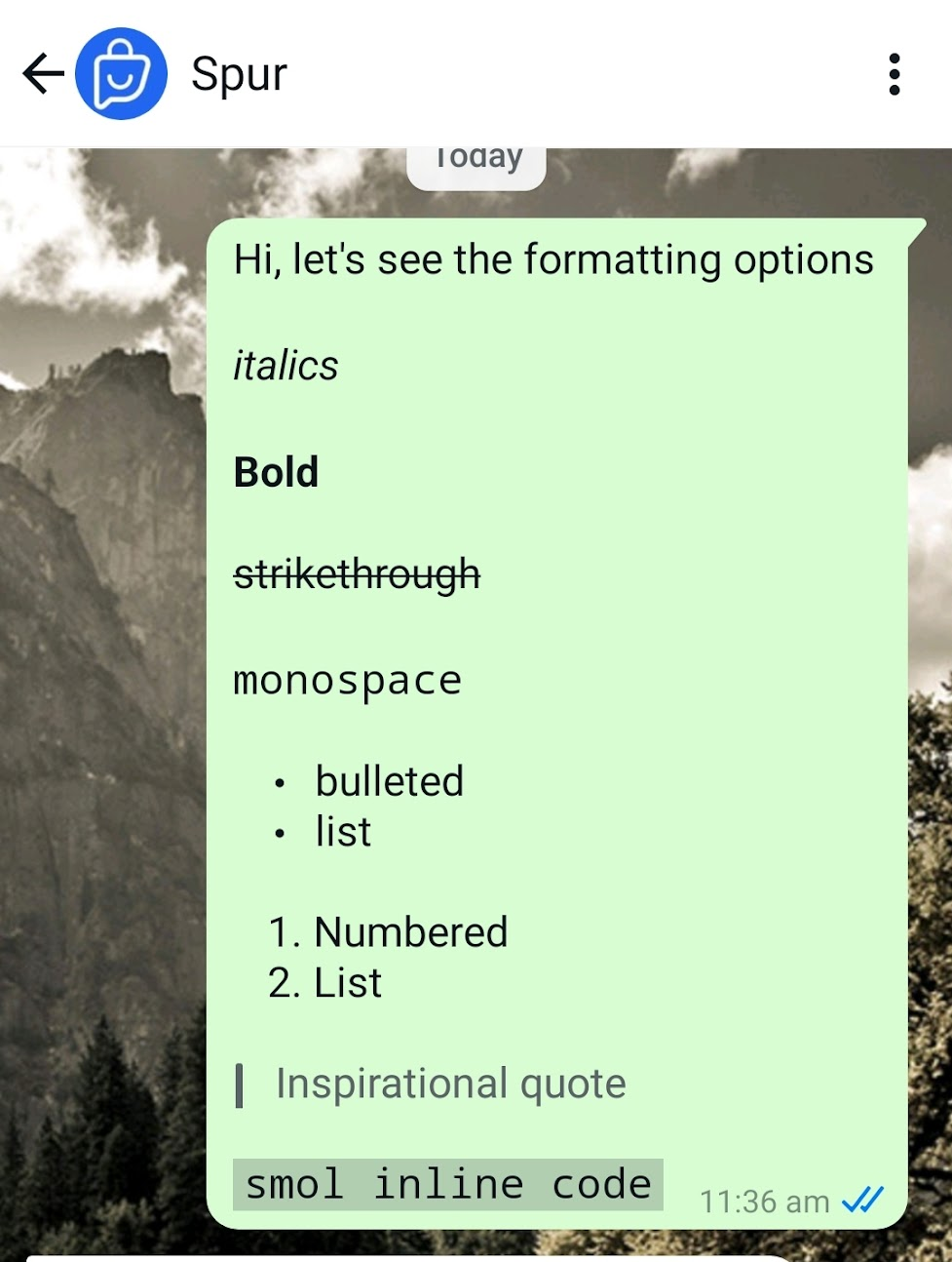 Various options of formatting WhatsApp Text