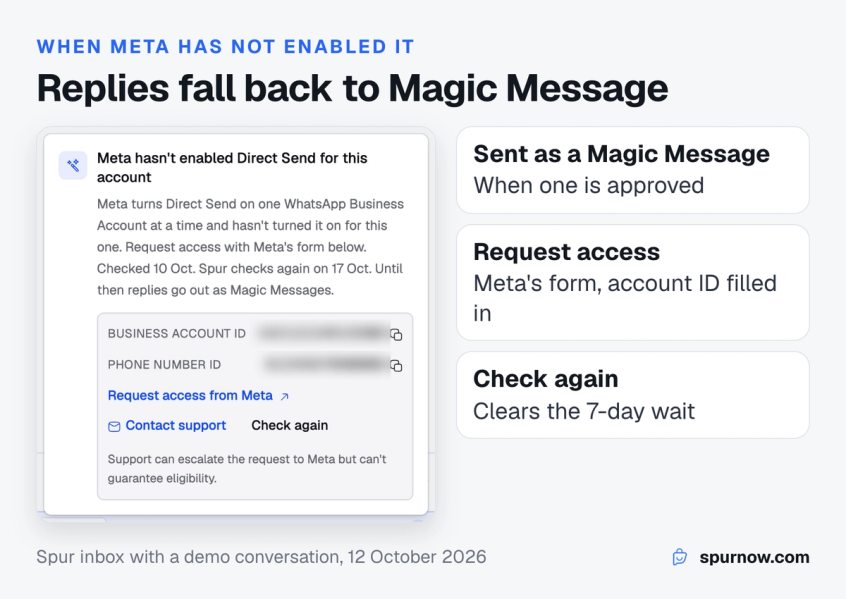 Spur inbox showing that Meta has not enabled Direct Send for the account, with the account IDs, a Request access from Meta link and a Check again button