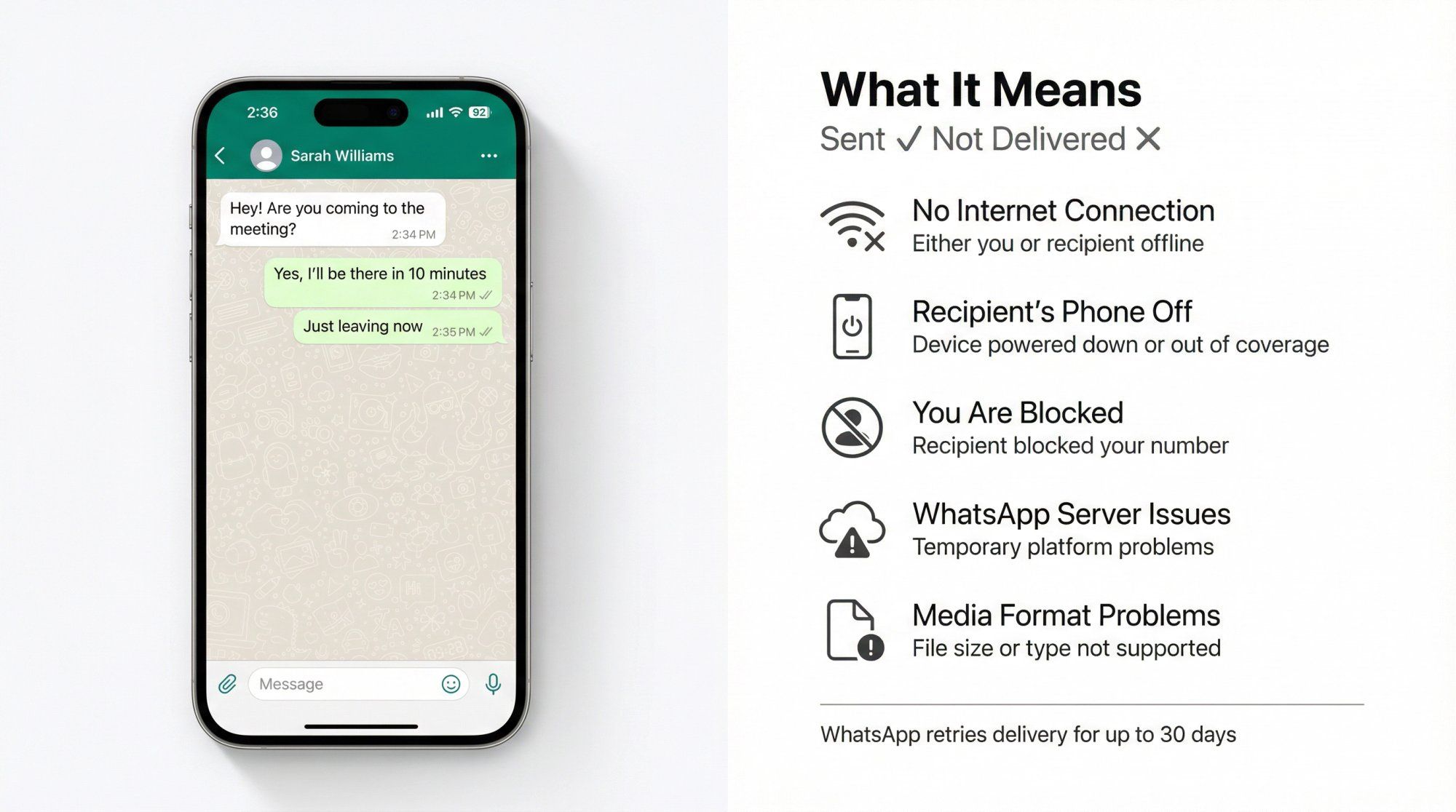 WhatsApp single gray tick indicator with visual breakdown of common causes like offline recipient or network issues