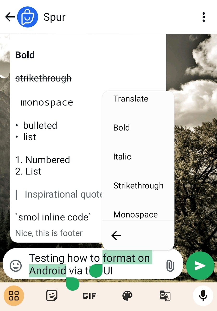 How to format text on Android