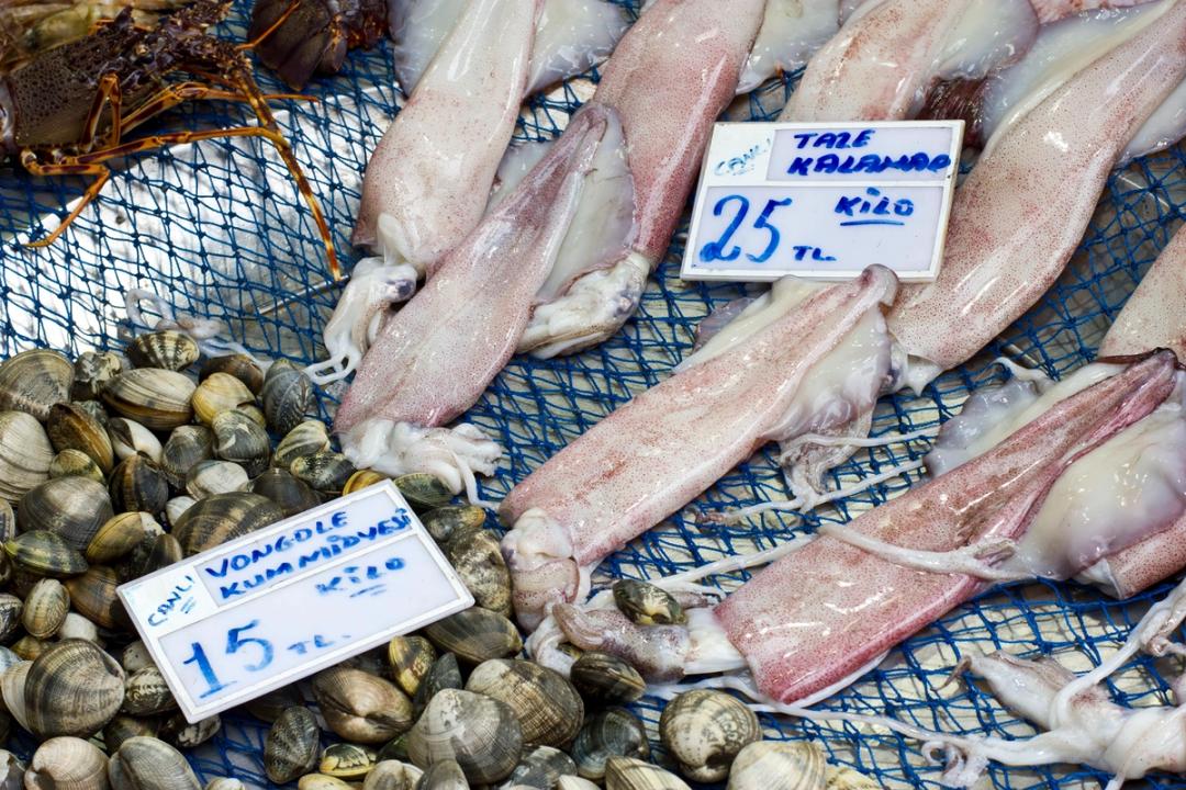 Fresh squid and shellfish for sale at Kadıköy's fish market on Istanbul's Asian side