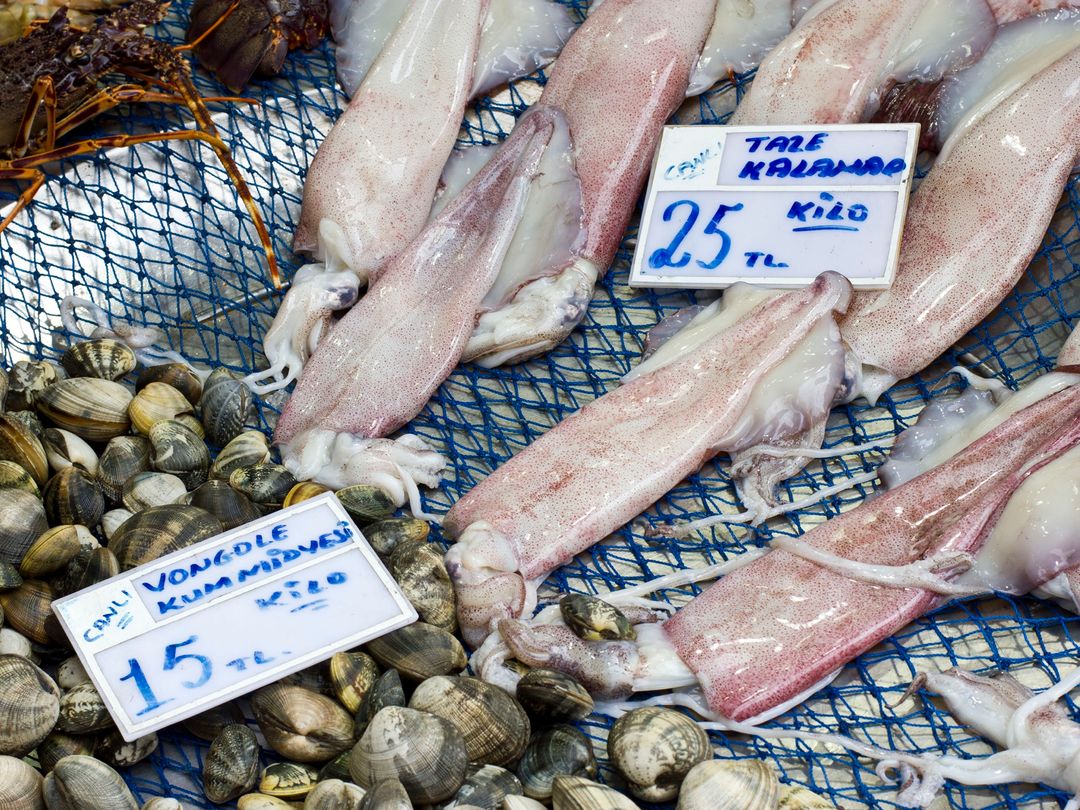 Fresh squid and shellfish for sale at Kadıköy's fish market on Istanbul's Asian side