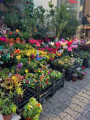 A flower stall on a Kadıköy street on Istanbul's Asian side