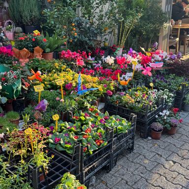 A flower stall on a Kadıköy street on Istanbul's Asian side