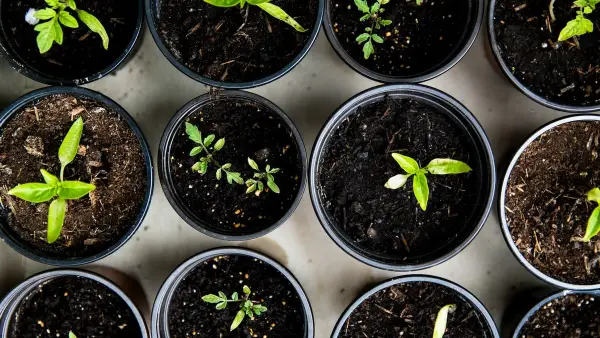 Best Campaign Management Services for Subscription Growth