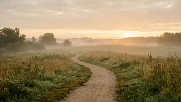 A dirt path winding through a misty meadow toward a soft sunrise on the horizon