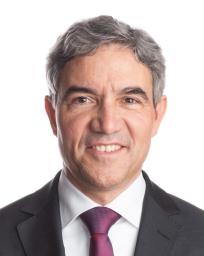 Prof. Dr. Stephan Harbarth