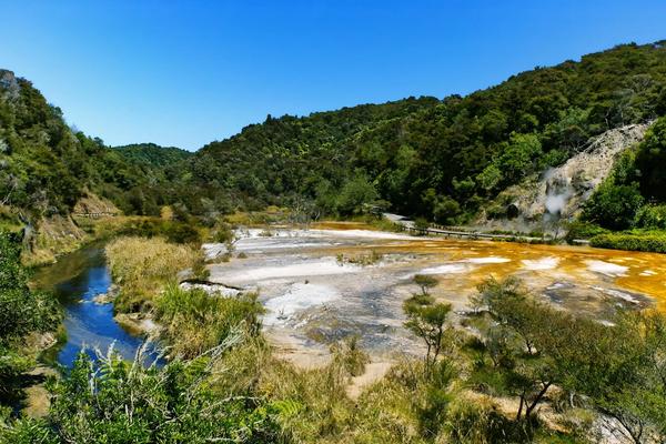 Thermal Wonder: North Island Self-Drive