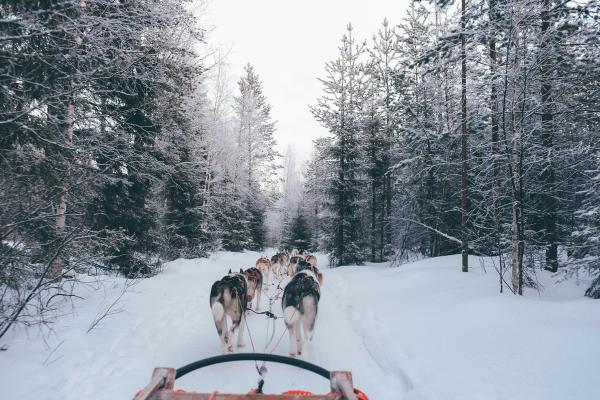 Scandic Viking Aurora: Oslo to Helsinki via Lapland