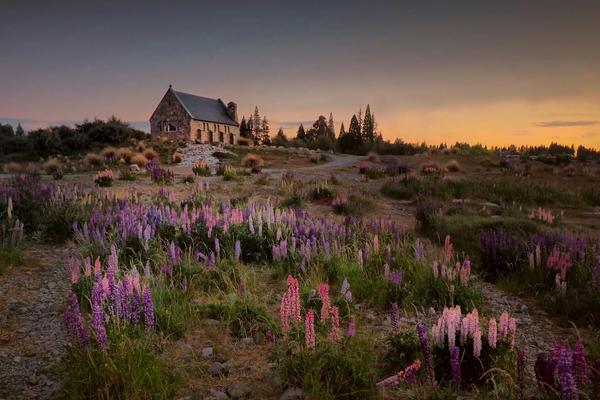 Southern Splendour: South Island Self-Drive