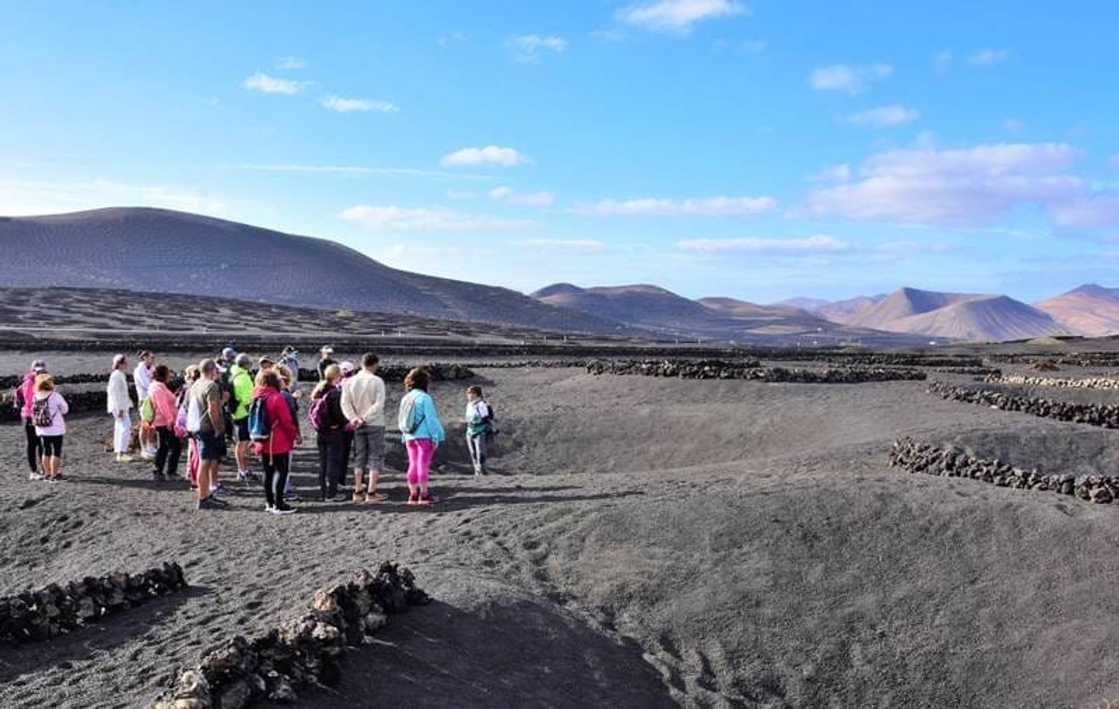 Vinos de Lanzarote programa varias y diversas actividades para esta primavera