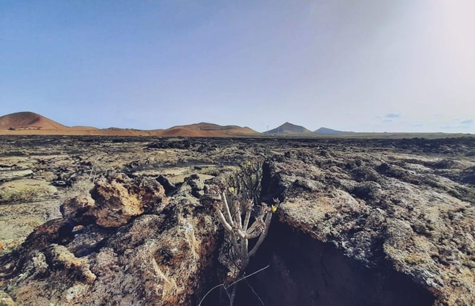 [Senderismo] Vega de Tahíche – Nazaret