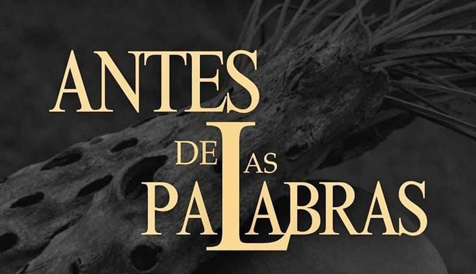 ‘Antes de las palabras’ celebra el movimiento por el Día Internacional de la Danza