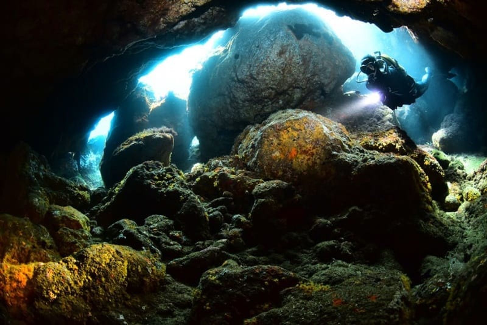 Las fotografías ganadoras del Open Fotosub Lanzarote pueden disfrutarse en el Charco de San Ginés