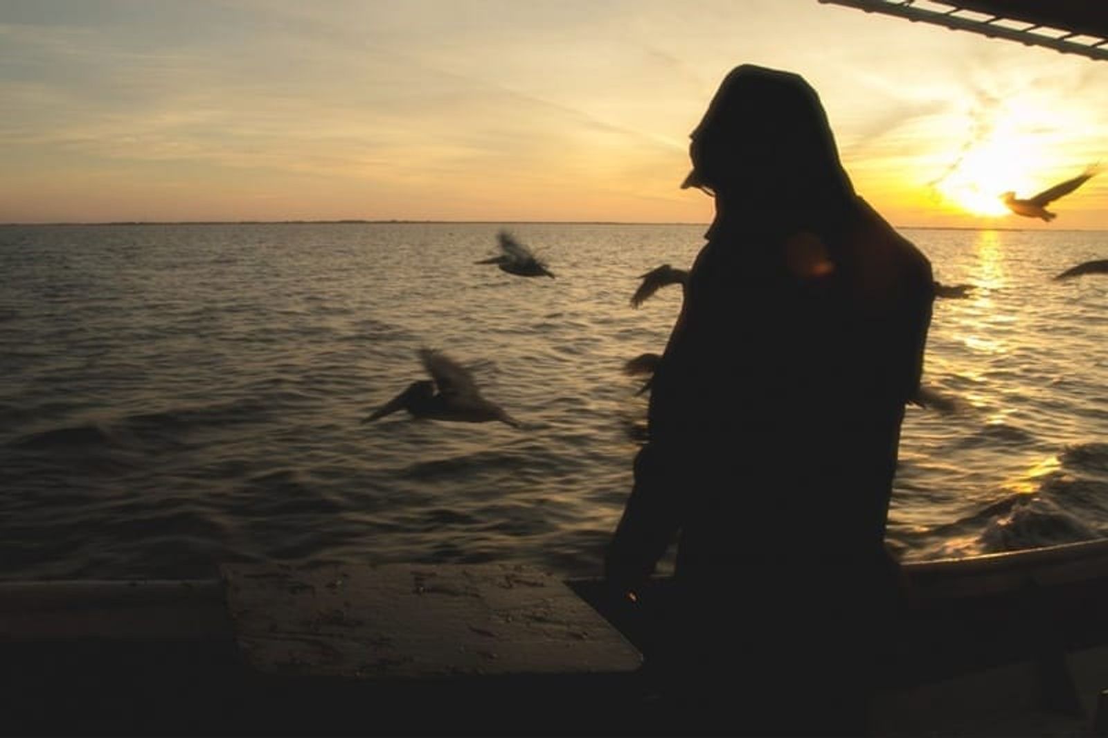 [Vídeo] Documental ‘Isleños, a root of America’