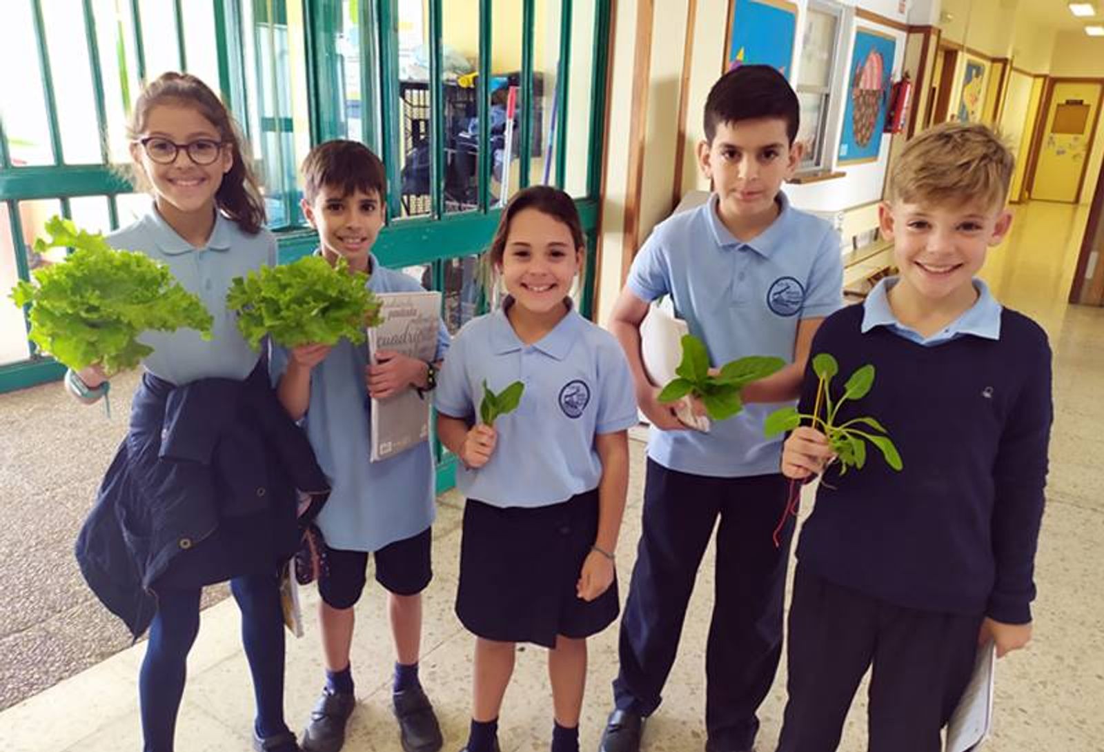 Cuatro centros escolares de Lanzarote distinguidos por sus huertos ecológicos