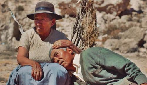 La Muestra de Cine publica la lista de filmes que se podrán ver en cada municipio