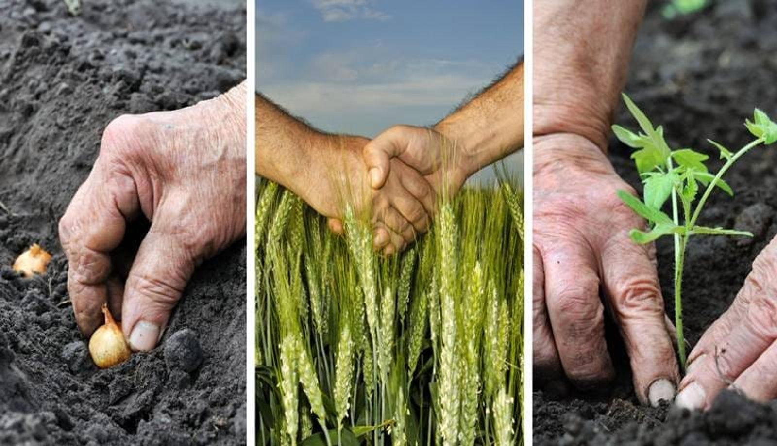 Curso de formación en agricultura regenerativa en Tías