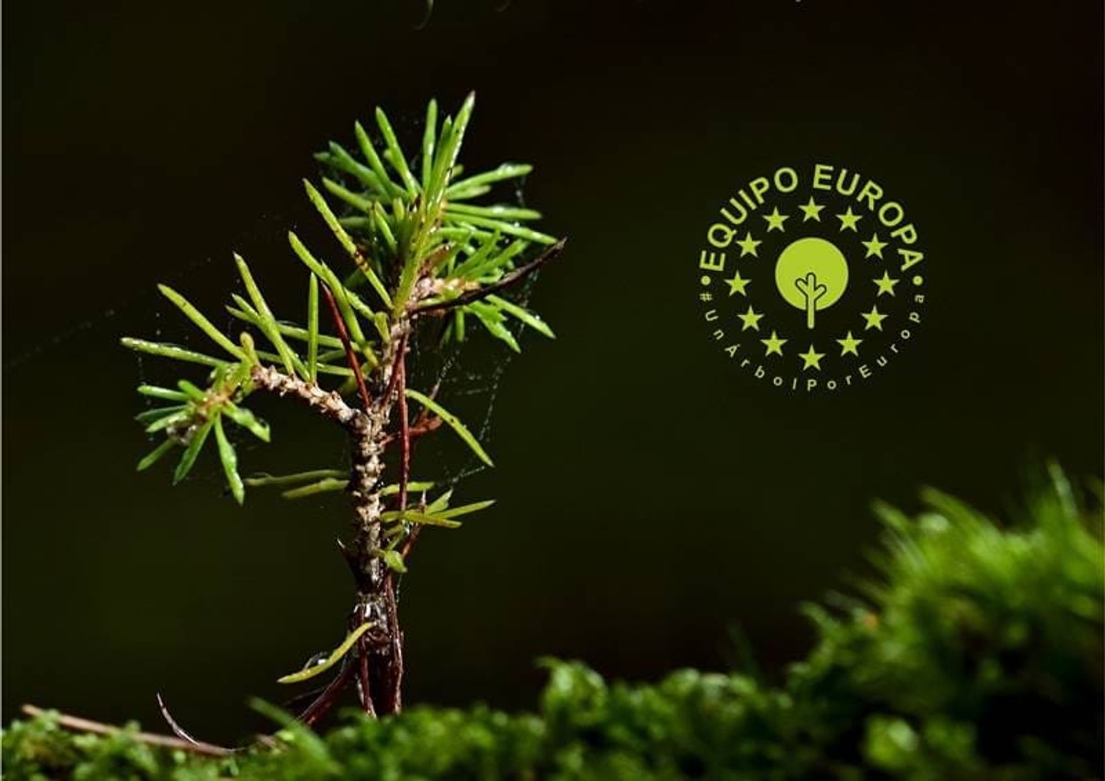 Tías celebra la Semana del Medioambiente con charlas, documentales y talleres