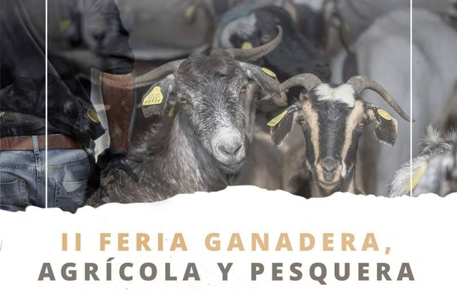 Programa de la Feria Ganadera, Agrícola y Pesquera que se celebra este fin de semana