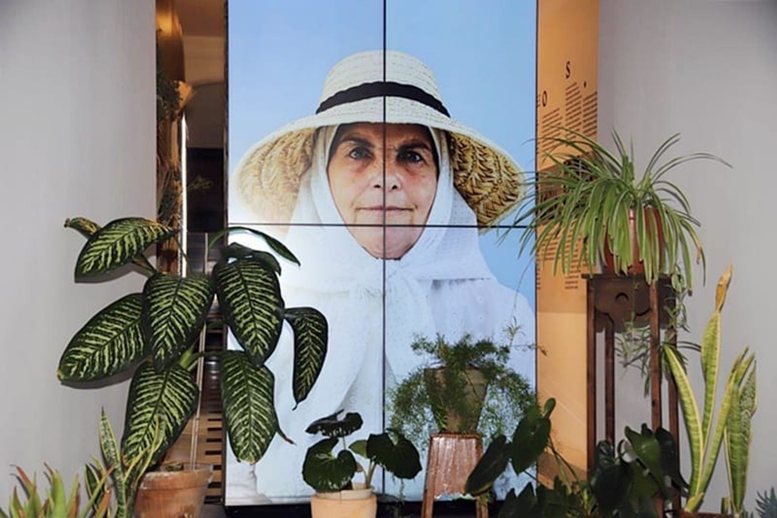 Habilitada la visita virtual a la exposición ‘Sombrera’ alojada en La Casa Amarilla