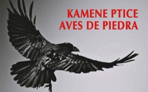 La Biblioteca de la Casa Museo José Saramago acoge la presentación del libro bilingüe ‘Aves de piedra’