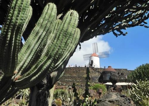 ‘Jardines sinfónicos’, nuevo ciclo de conciertos en el Jardín de Cactus