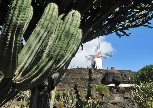 ‘Jardines sinfónicos’, nuevo ciclo de conciertos en el Jardín de Cactus