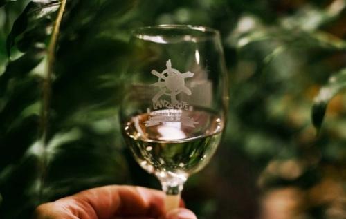 El vino toma forma de experiencia en la nueva agenda cultural de Vinos de Lanzarote