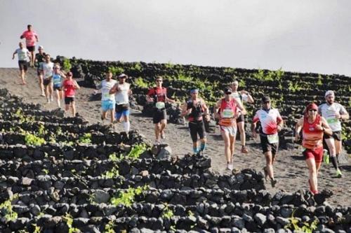 Ya se conoce la fecha para la Wine Run 2026