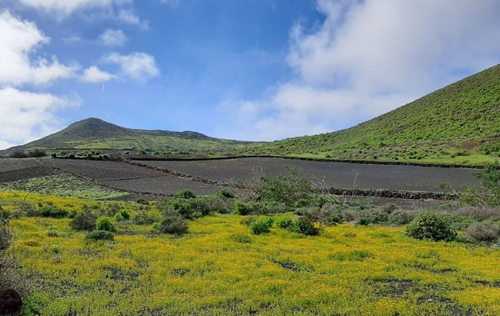 El Punto Joven de Haría organiza una ruta senderista por ‘Los Llanos de Máguez’