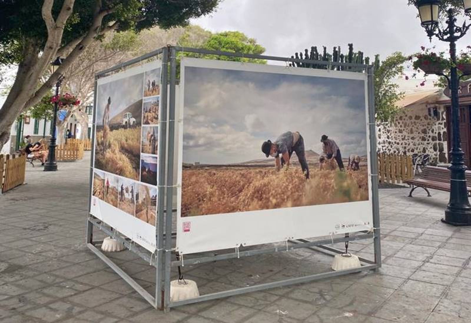 Haría acoge la exposición ‘Pastorear el viento. Domar el agua. Labrar el fuego’