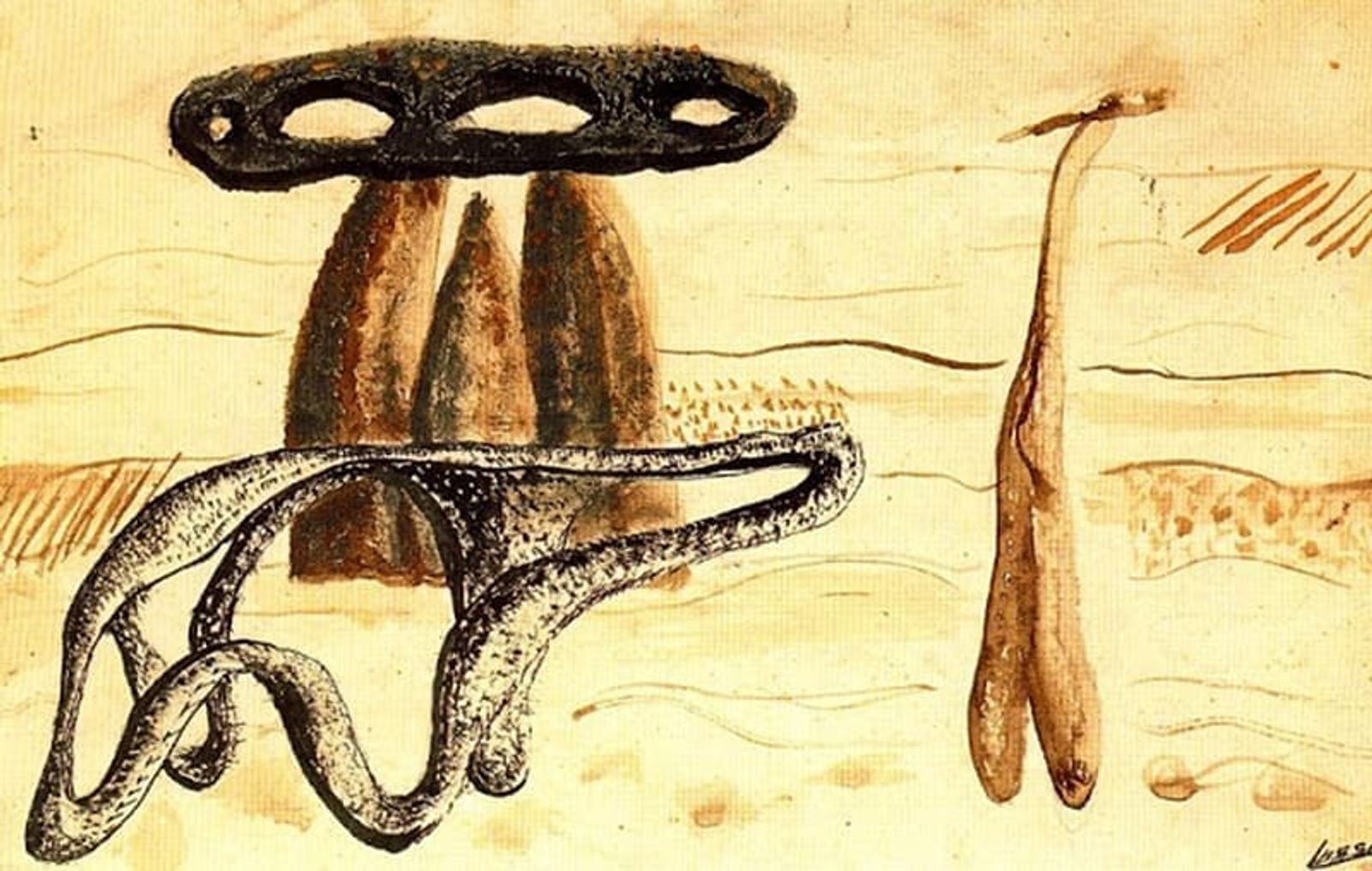'La figura de Pancho Lasso' - Conferencia de Arminda Arteta 