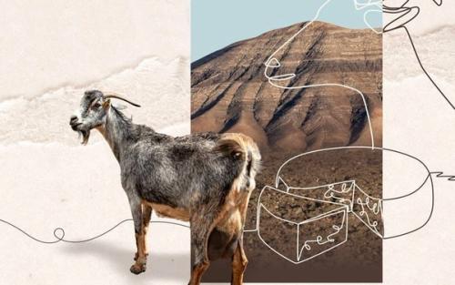 La Feria del Queso y la Cabra programa tres días de sabor y música en Yaiza