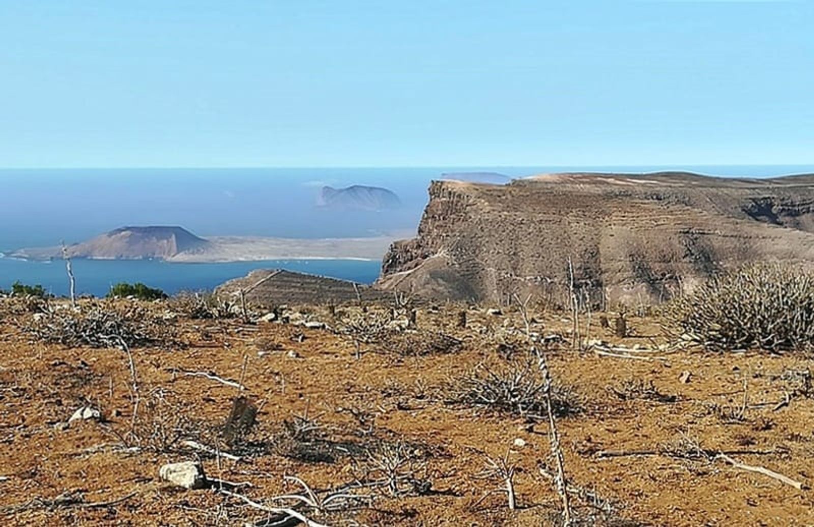 Dan inicio los trabajos para la restauración del hábitat de las cumbres de Famara