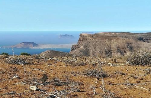 Dan inicio los trabajos para la restauración del hábitat de las cumbres de Famara