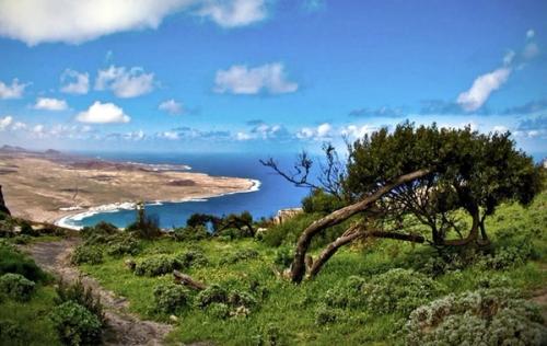 Un proyecto de conservación de la flora de Famara, finalista nacional por su valor ecológico