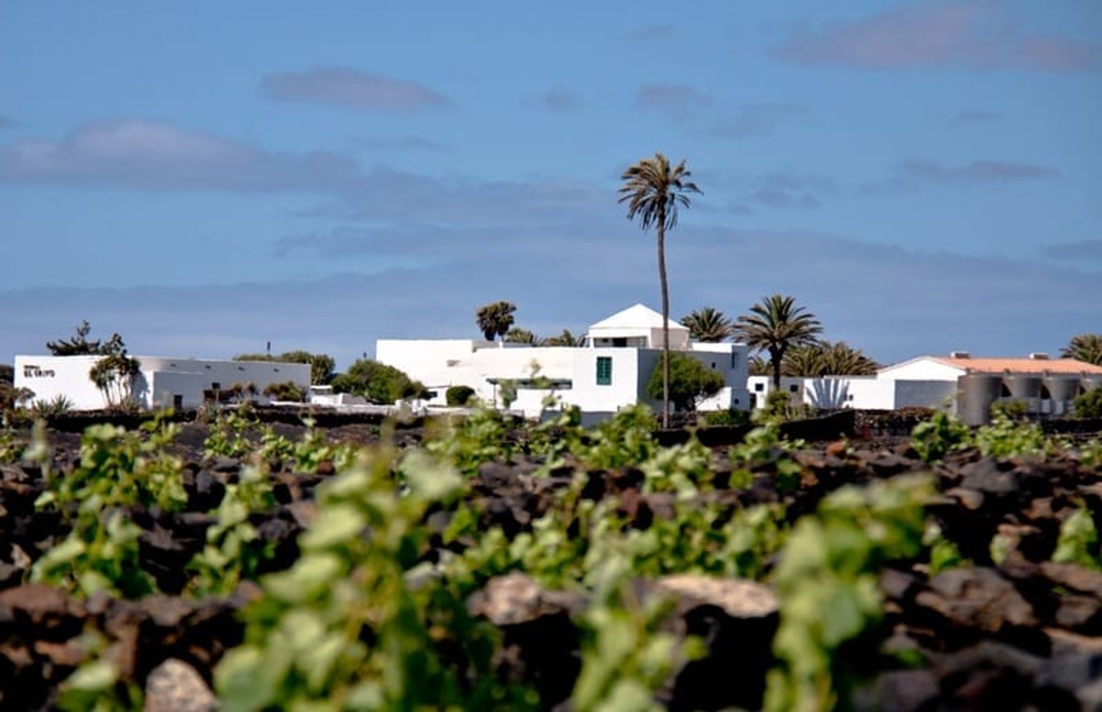 Saborea Lanzarote y Euro-Toques celebran una nueva jornada de reflexión e inspiración en Bodegas El Grifo
