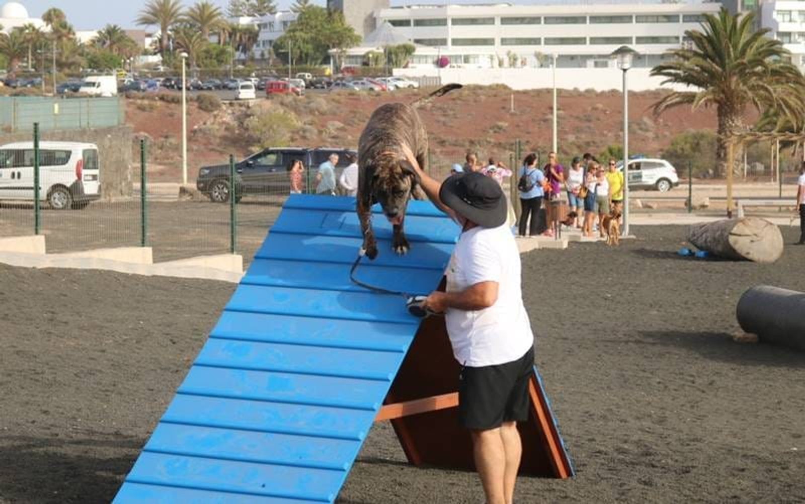 Yaiza celebra este fin de semana unas nuevas jornadas de bienestar animal