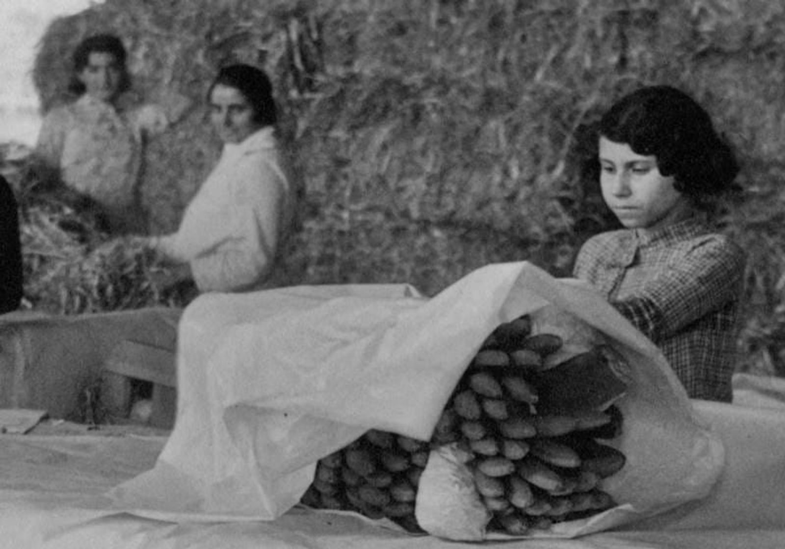 El patrimonio cultural de Canarias, cada vez más cerca de un desarrollo sostenible integral