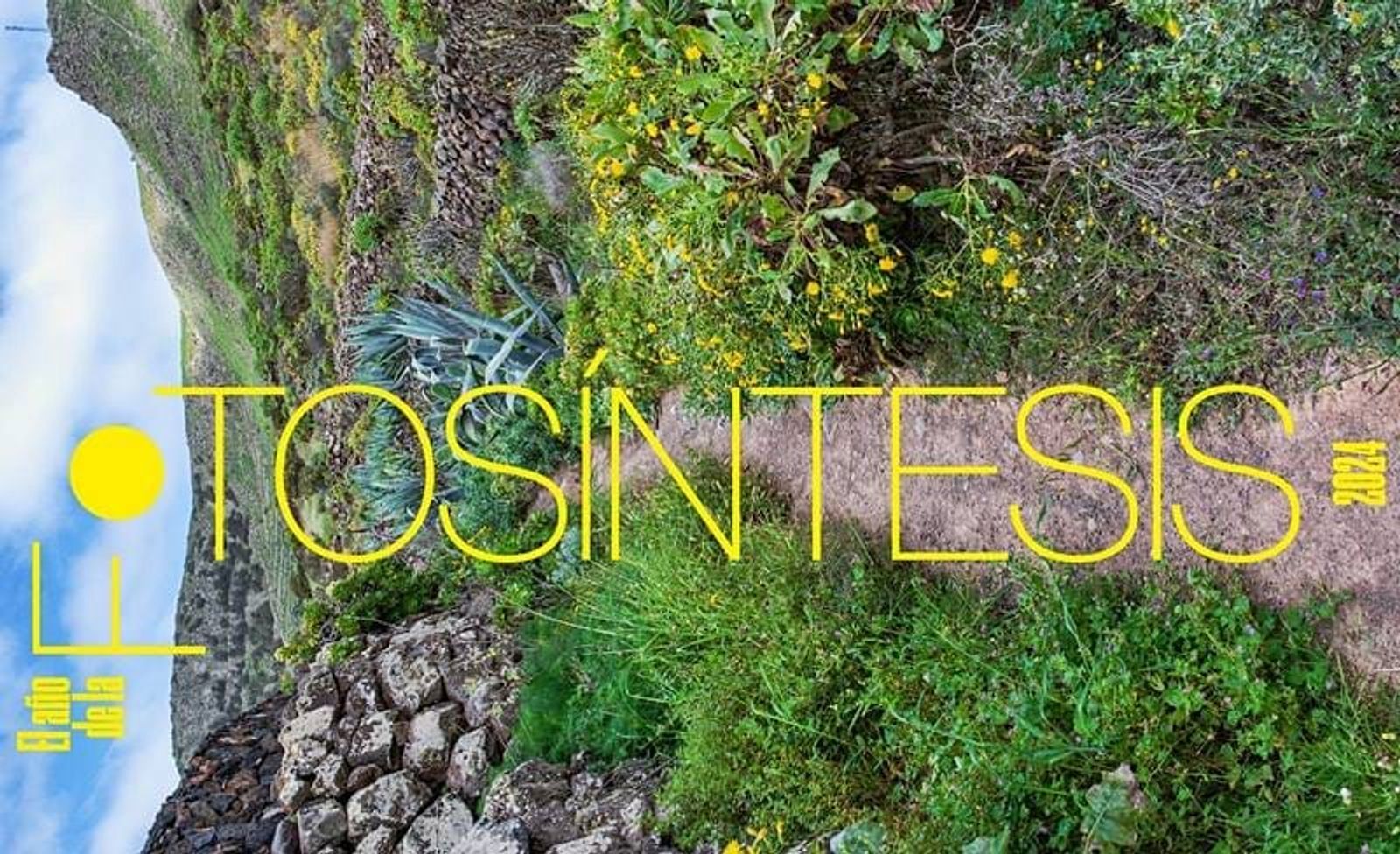 ‘Plantar futuro’, iniciativa de la Reserva de la Biosfera para valorar la naturaleza de Lanzarote