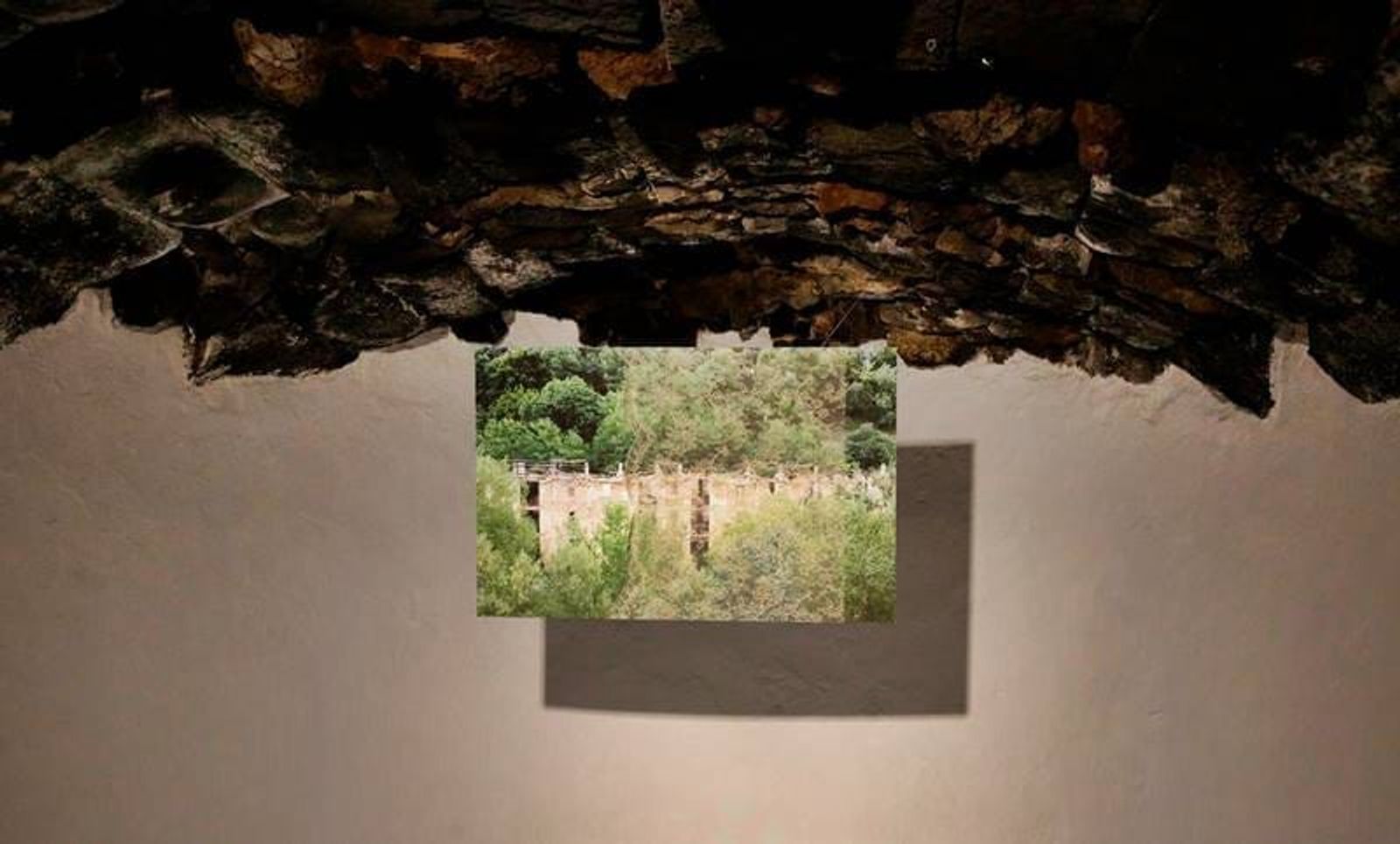 'Primun non nocere' - Exposición de Romina Rivero 
