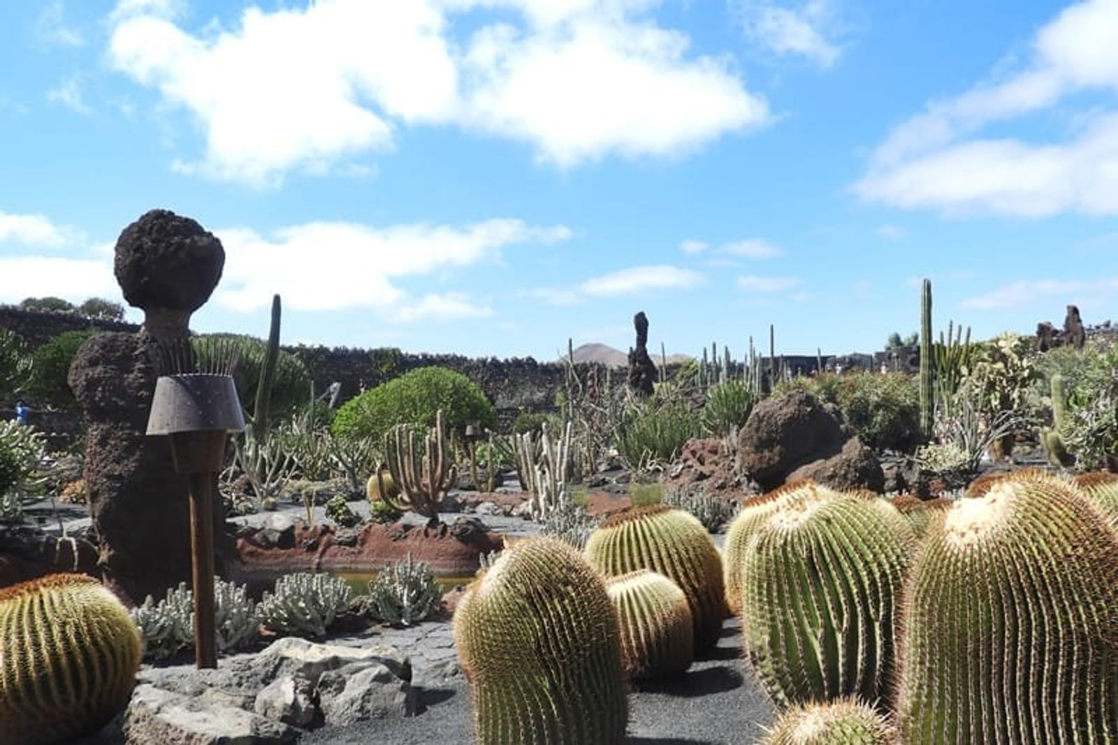 La verdad de divagar por el Jardín de Cactus