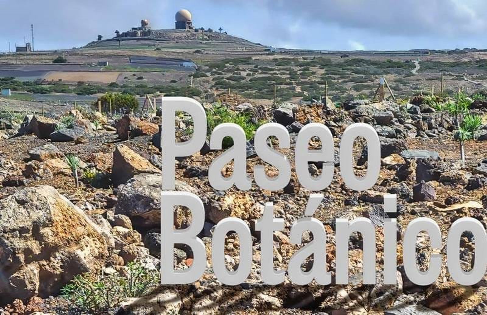 La Reserva de la Biosfera organiza un paseo botánico por las cumbres de Famara